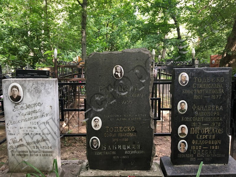 Могила К.И. Бабицкого и его родных на Головинском кладбище. Общий вид