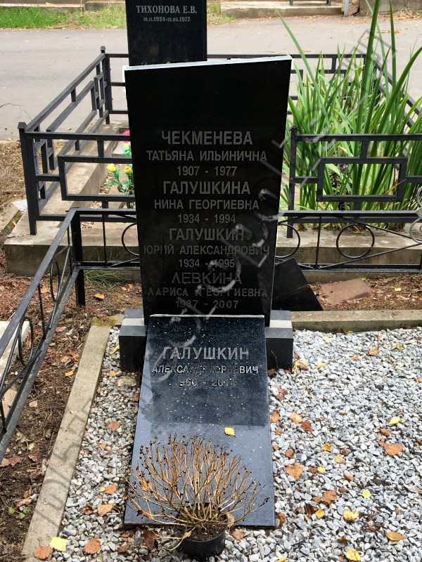 Могила А.Ю. Галушкина и его родных на Хованском Центральном кладбище. Общий вид