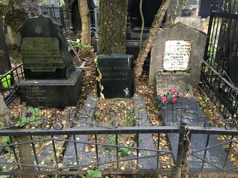 Могила Л.М. Гинзбурга и его родных на Востряковском Центральном кладбище. Общий вид