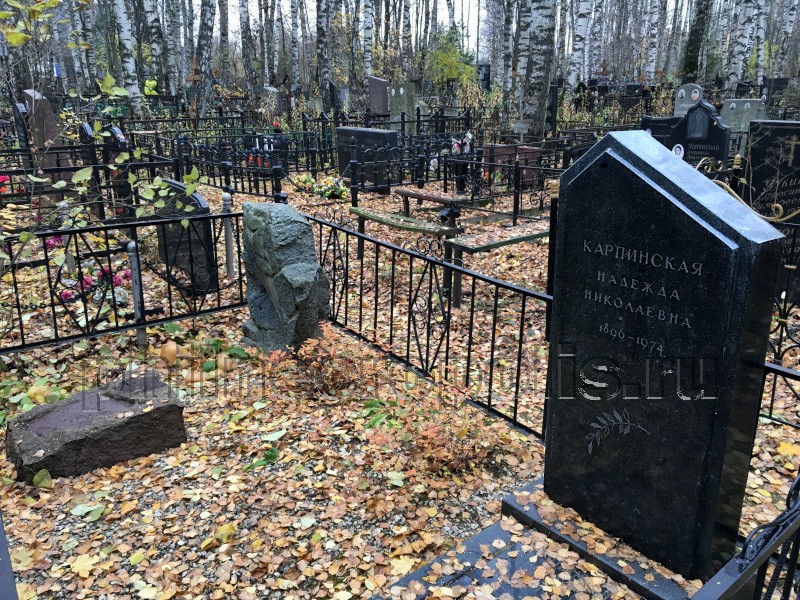 Могила И.И. Ревзина и его родных на Долгопрудненском Центральном кладбище. Общий вид