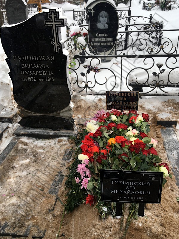 Могила Л.М. Турчинского и его супруги на Леоновском кладбище. Общий вид