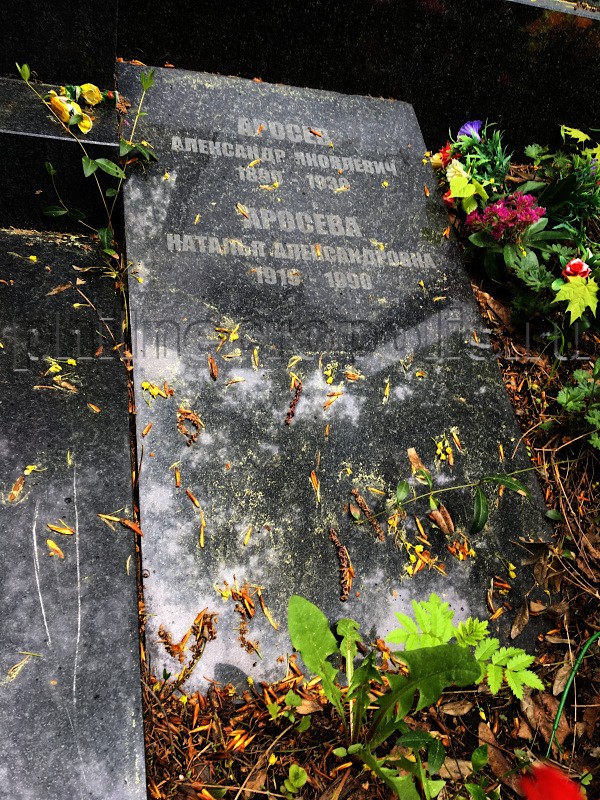 Надгробие на могиле Н.А. Аросевой на Головинском кладбище