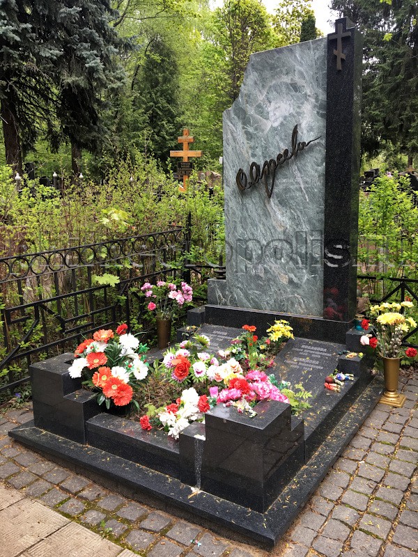 Могила Н.А. Аросевой и ее родных на Головинском кладбище. Общий вид