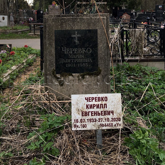 Могила К.Е. Черевко на Митинском кладбище