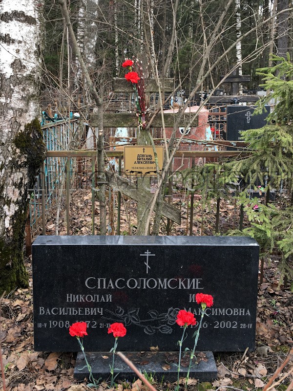 Могила В.А. Довганя и его родных на кладбище «Новая Деревня». Общий вид