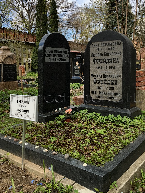 Могила Е.М. Сморгуновой, Ю.Л. Фрейдина и их родных на Донском кладбище. Общий вид