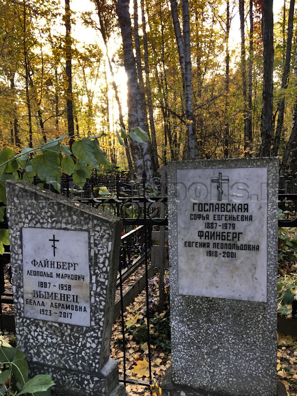 Могила С.Е. Гославской и ее родных на Востряковском Центральном кладбище. Общий вид
