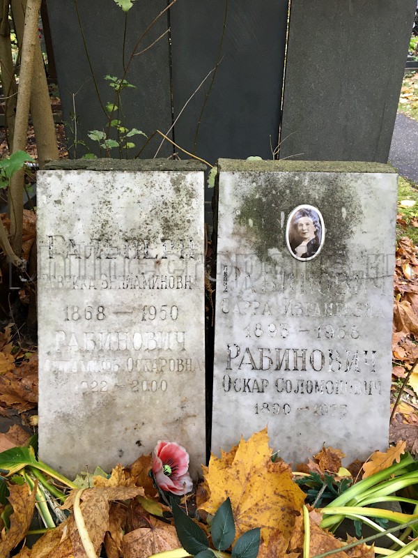 Могила С. Митиной (С.О. Рабинович) и ее родных на Донском кладбище. Общий вид