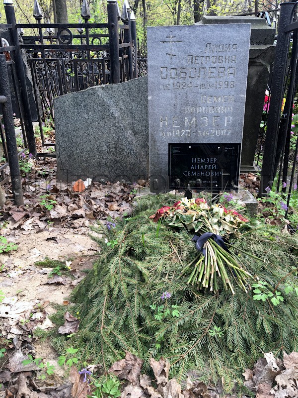 Могила А.С. Немзера и его родных на Введенском кладбище. Общий вид