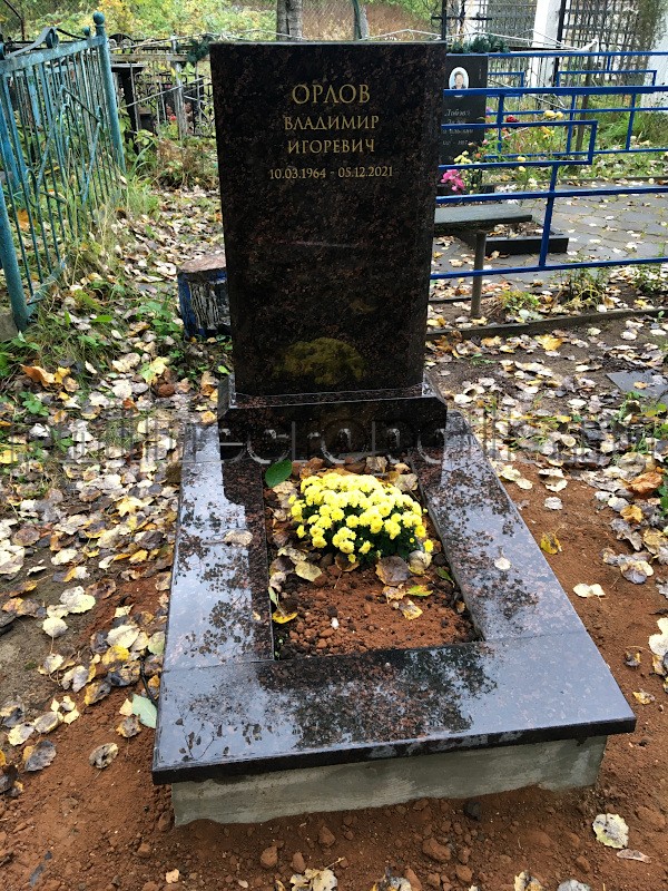 Могила В.И. Орлова на Орловском кладбище. Общий вид