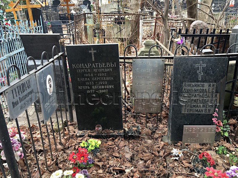 Могила В.К. Павлинова и его родных на Даниловском кладбище. Общий вид