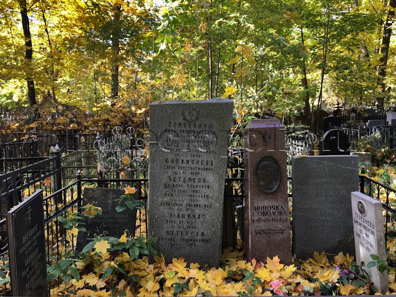 Могила М.Н. Петерсона и его родных на Ваганьковском кладбище. Общий вид