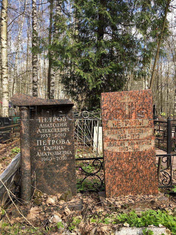 Могила А.А. Петрова и его родных на Долгопрудненском Центральном кладбище. Общий вид