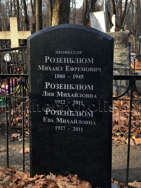 Надгробие на могиле Л.М. Розенблюм на Введенском кладбище
