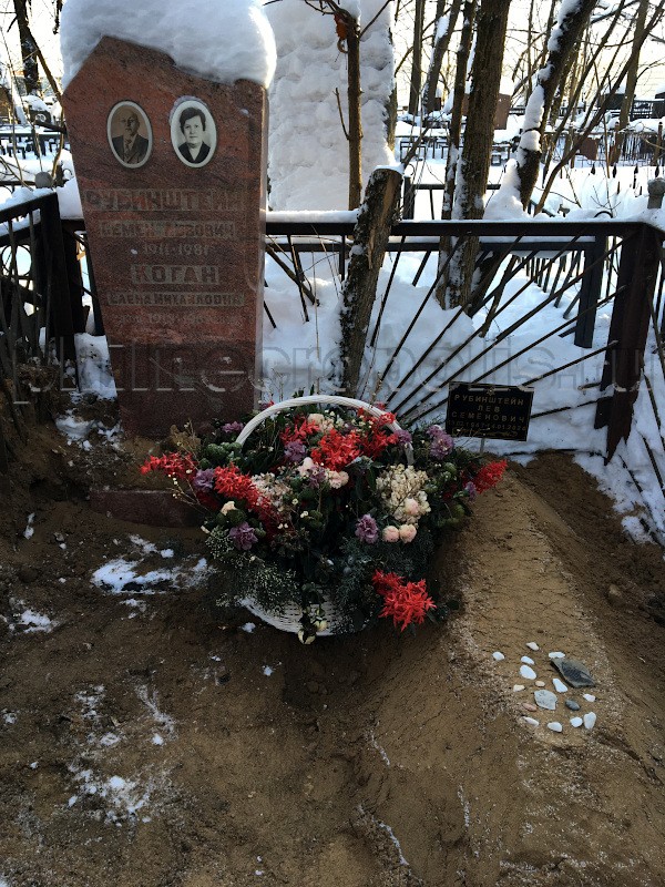 Могила Л.С. Рубинштейна и его родных на Малаховском кладбище. Общий вид