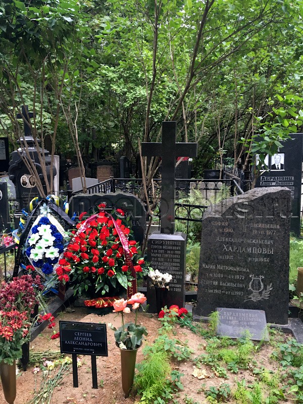 Могила Л.А. Сергеева и его родных на Армянском кладбище. Общий вид