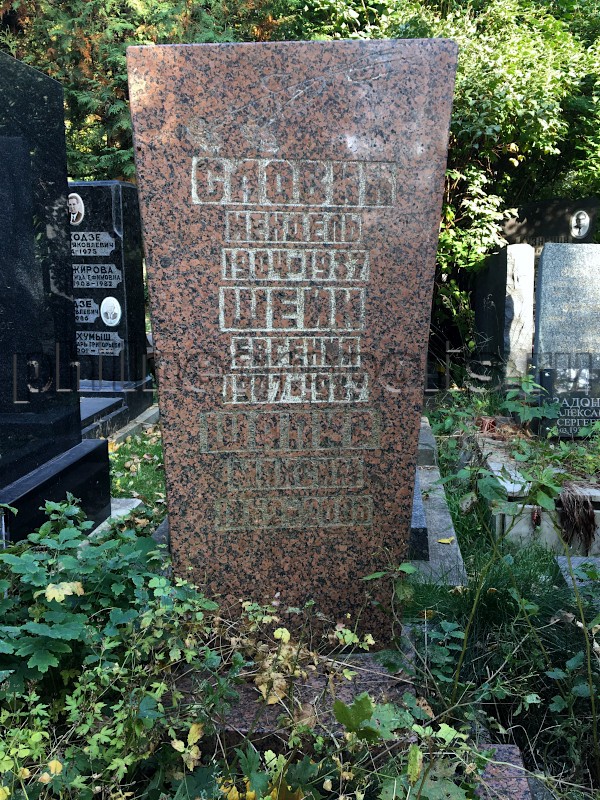 Надгробие на могиле М.И. Шапира на Донском кладбище