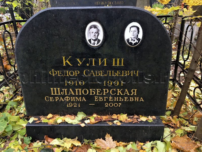 Надгробие на могиле С.Е. Шлапоберской на Донском кладбище