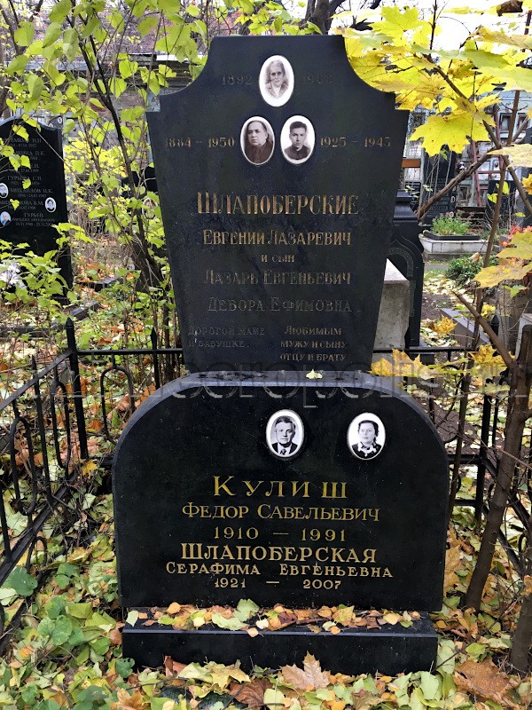Могила С.Е. Шлапоберской и ее родных на Донском кладбище. Общий вид