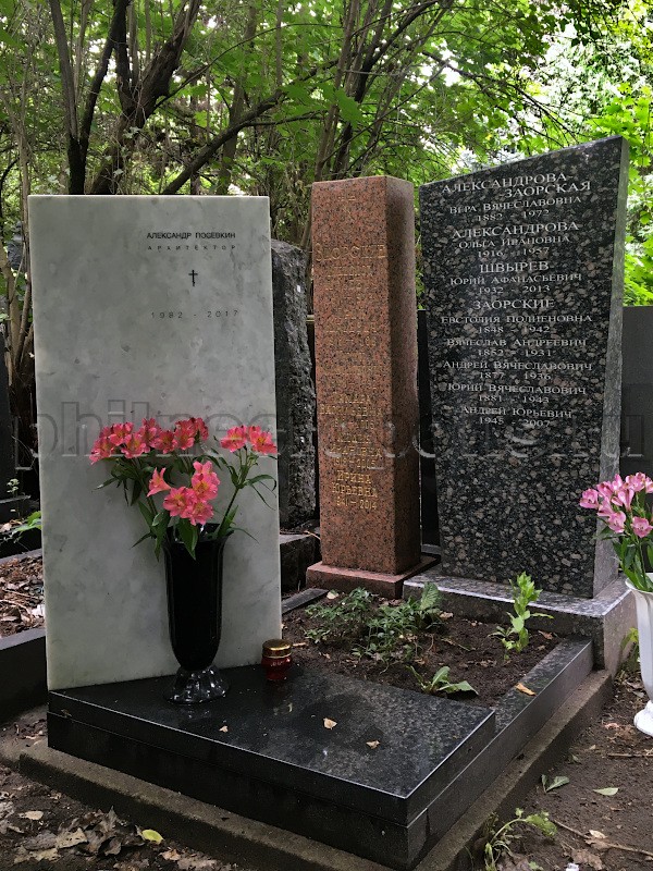 Могила Ю.А. Швырёва и его родных на Донском кладбище. Общий вид