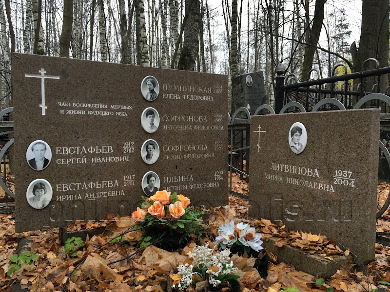 Могила И.А. Евстафьевой, А.Ф. Софроновой и их родных на Востряковском Северном кладбище. Общий вид