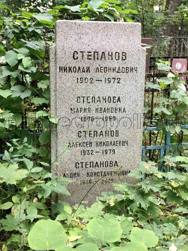 Надгробие на могиле Н.Л. Степанова на Переделкинском кладбище