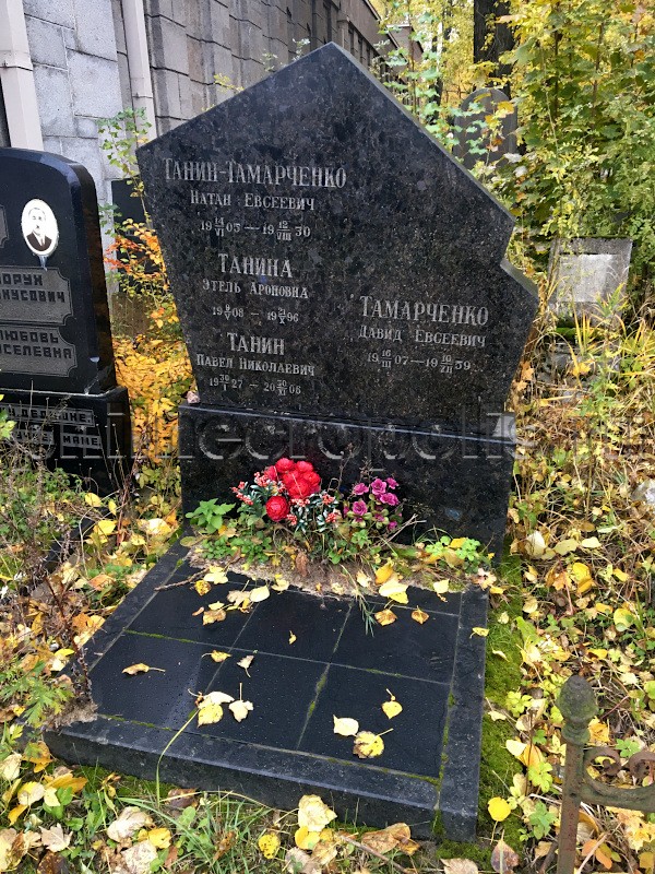 Надгробие на могиле Д.Е. Тамарченко на Еврейском кладбище (СПб.)