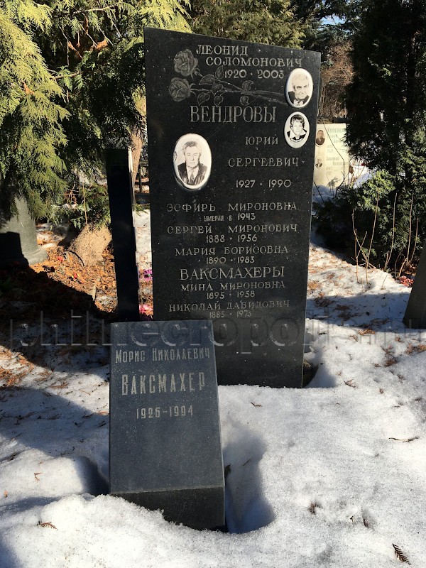 Могила М.Н. Ваксмахера и его родных на Донском кладбище. Общий вид