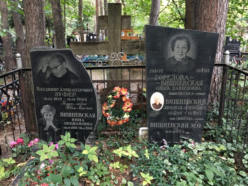 Могила И.Л. Вишневской и ее родных на Востряковском Северном кладбище. Общий вид