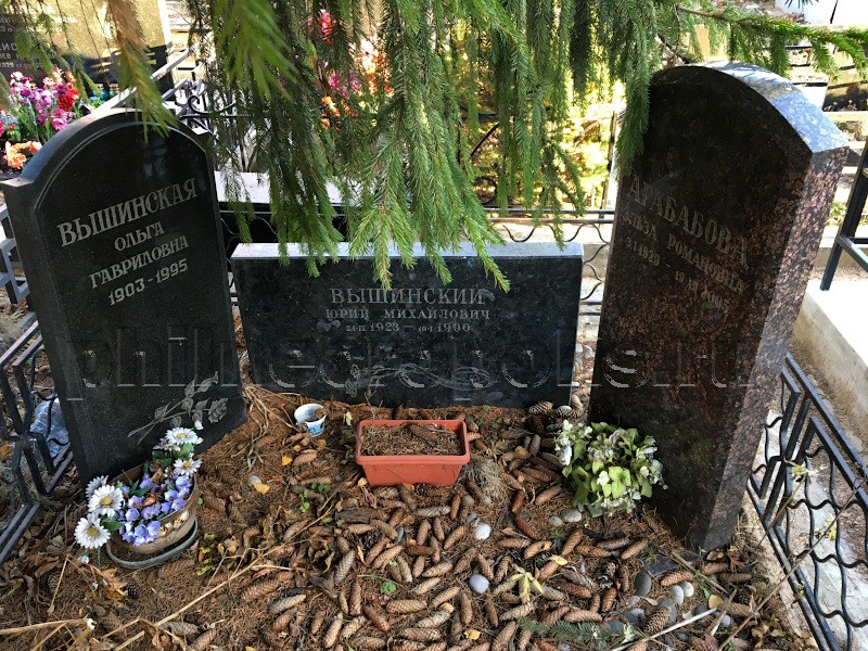 Могила Ю.М. Вышинского и его родных на Хованском Северном кладбище. Общий вид